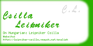 csilla leipniker business card